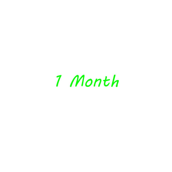 1 Month IPTV